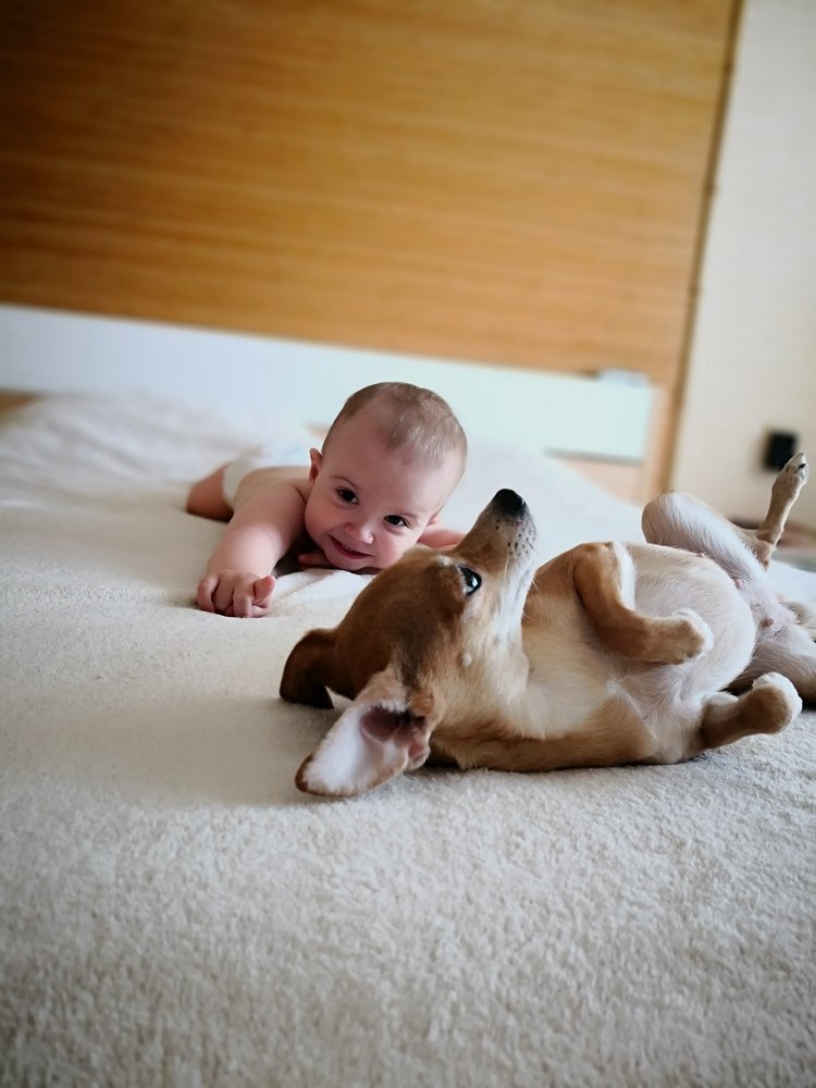 Photo #3848201