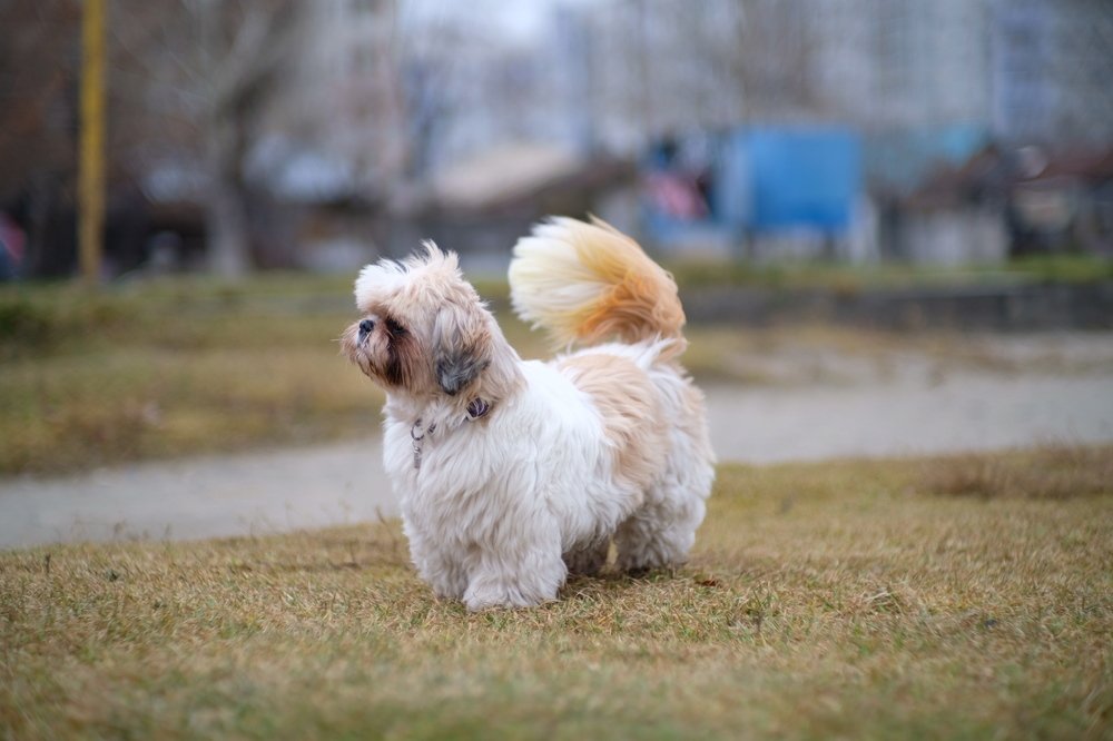 Photograph by Галина Уланова