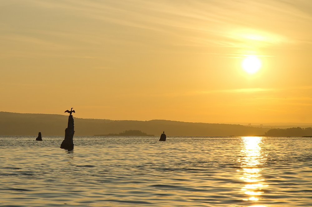 Рассветные силуэты