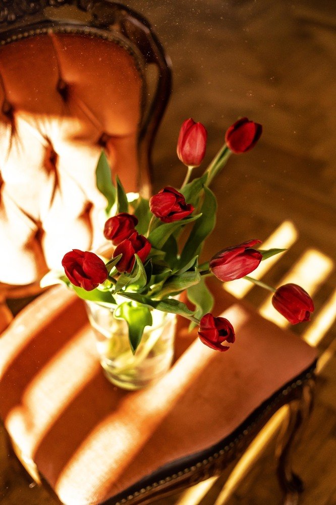 Фотография автора Мария Сурмачева