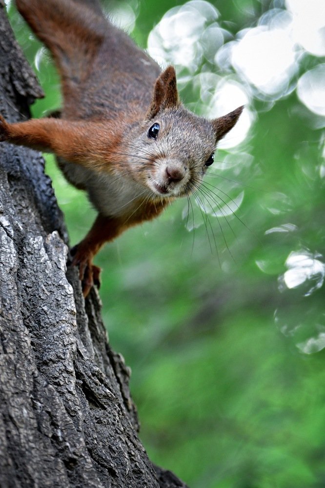 Photograph by Анна Белка