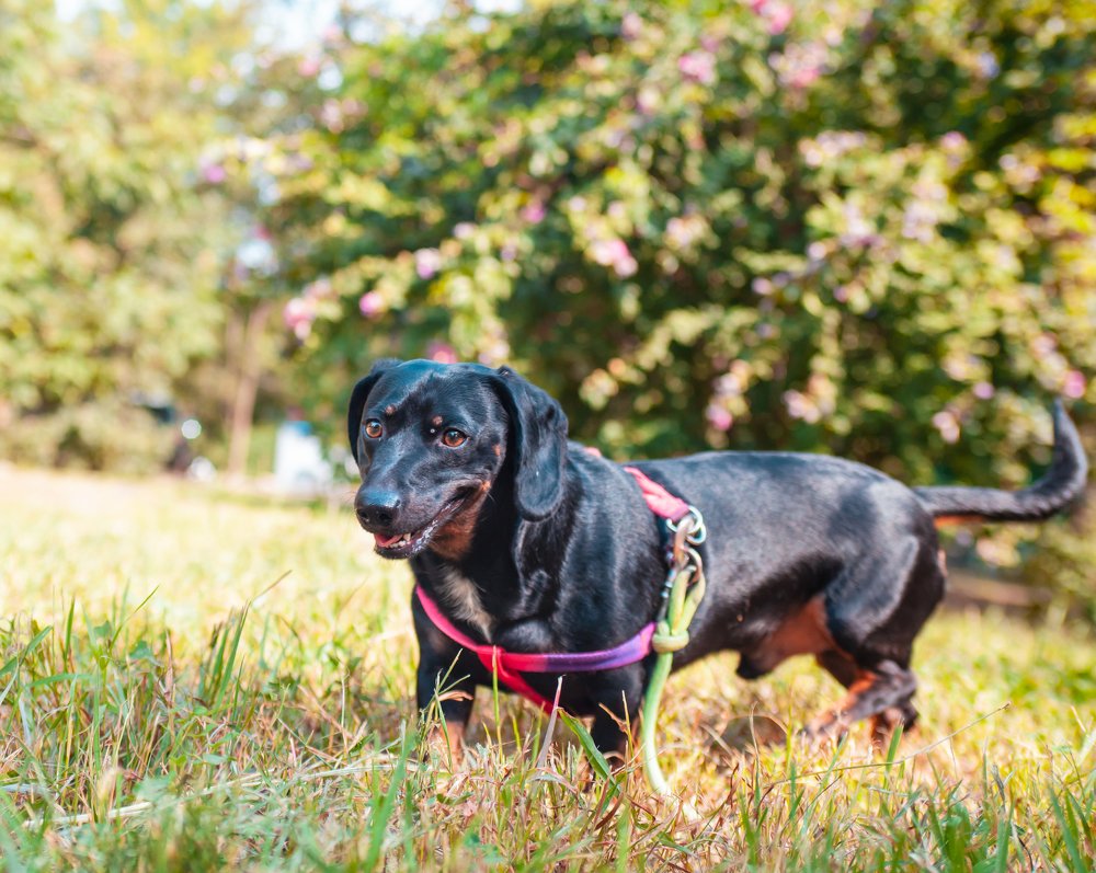 Photograph by Дмитрий Юринов