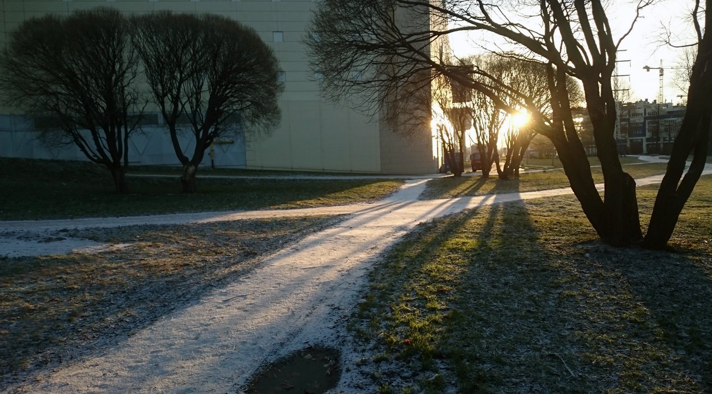 Photo #3848493