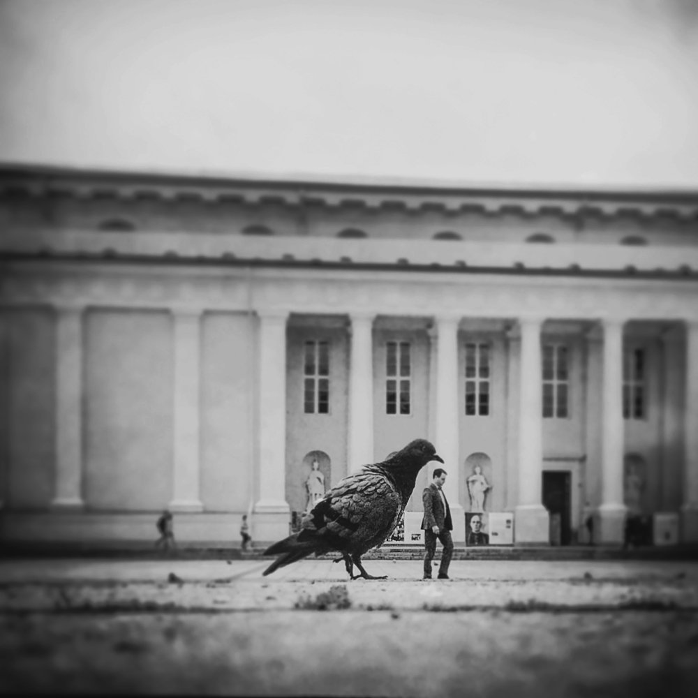 Photograph by ViliusBareikis