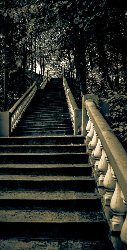 Photograph by Алексей Козлов