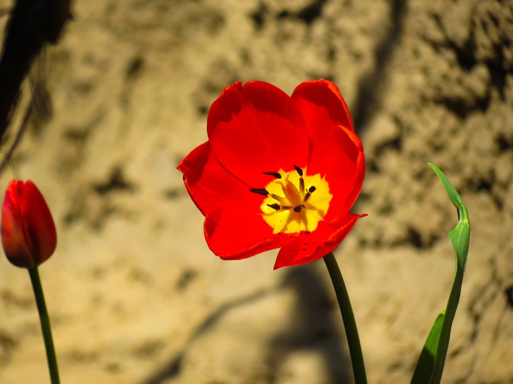 Photograph by Владислав Сапрыкин