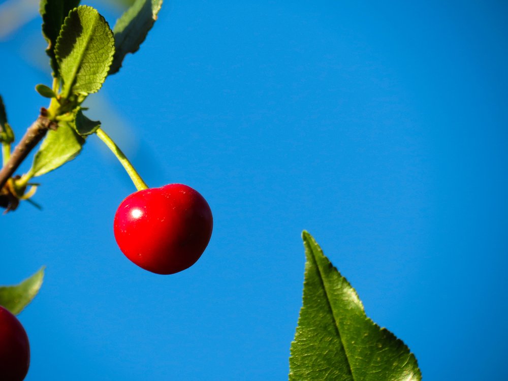 Photograph by Владислав Сапрыкин