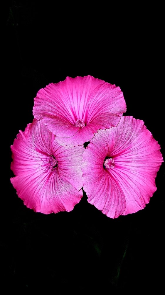 Photograph by Алексей Миронов