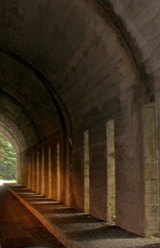 Photograph by Николай Немчанинов