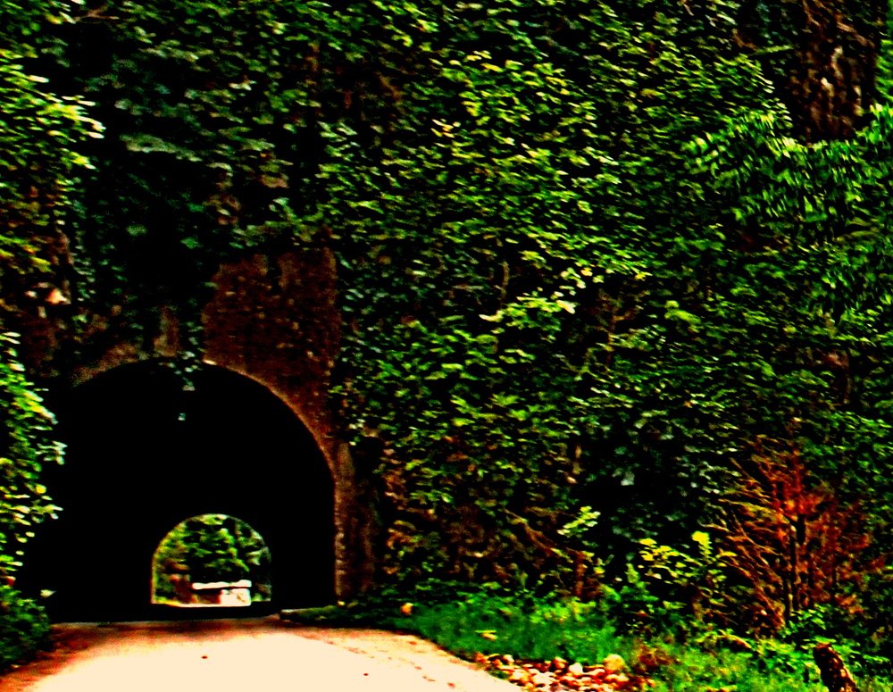 Photograph by Николай Немчанинов