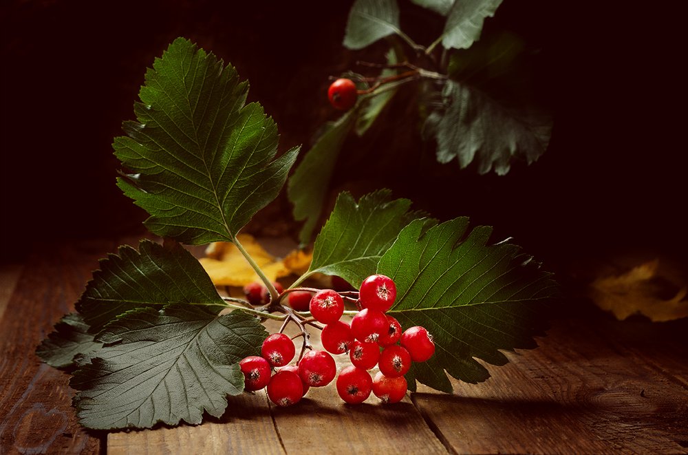 Photograph by Валерий Вторыгин