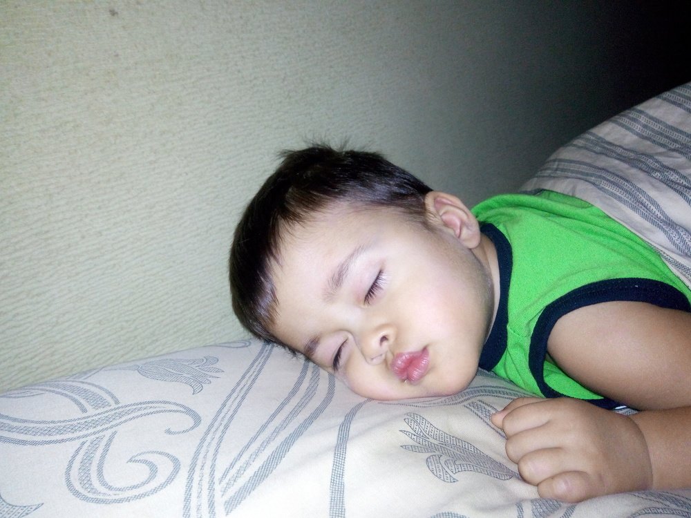 Photo #3848704