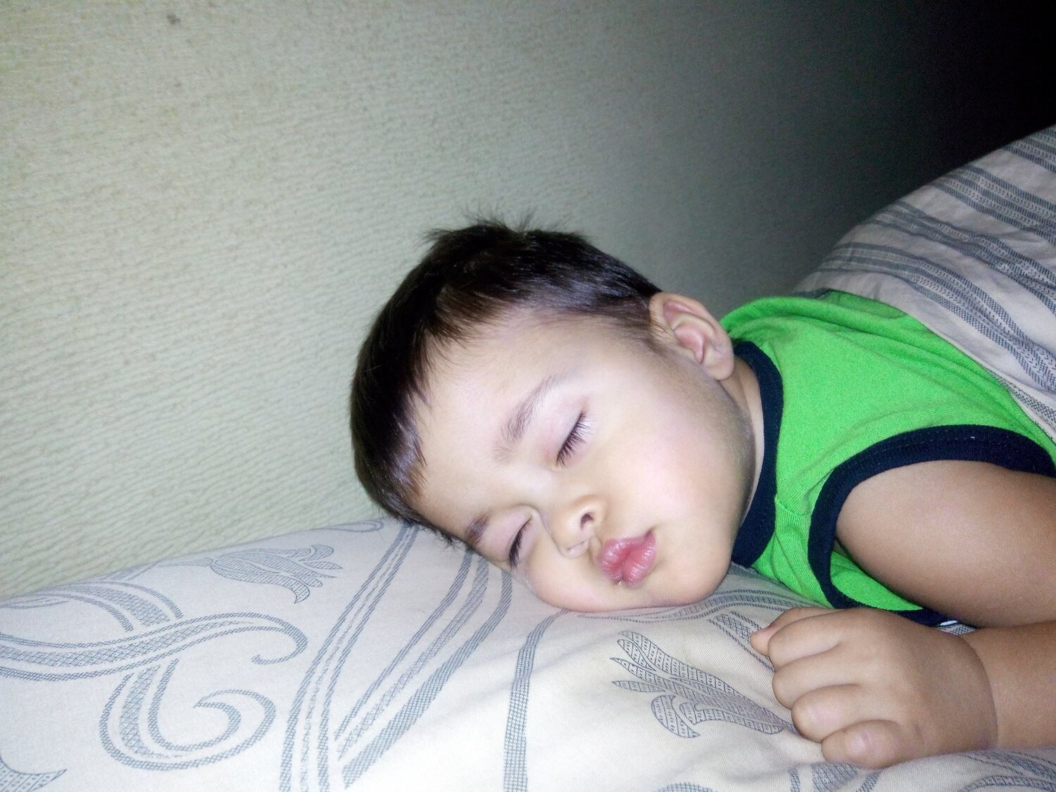 Photo #3848704