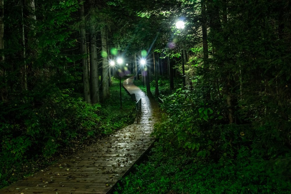 Фотография автора Вадим Топычканов