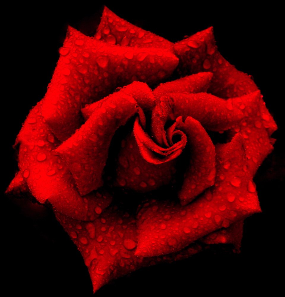 Photograph by Алька Вереск