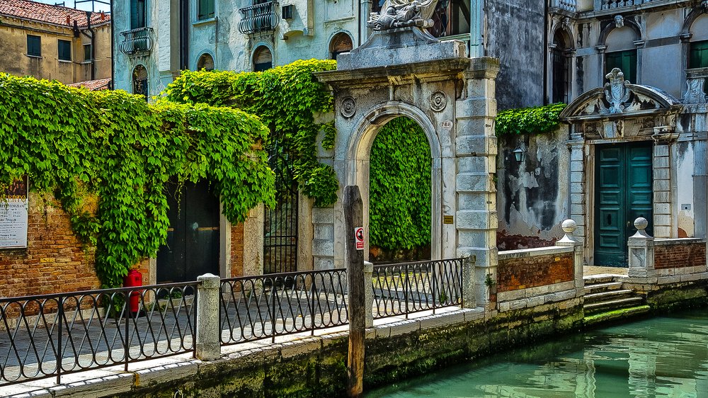 Photograph by Dumitru Bors