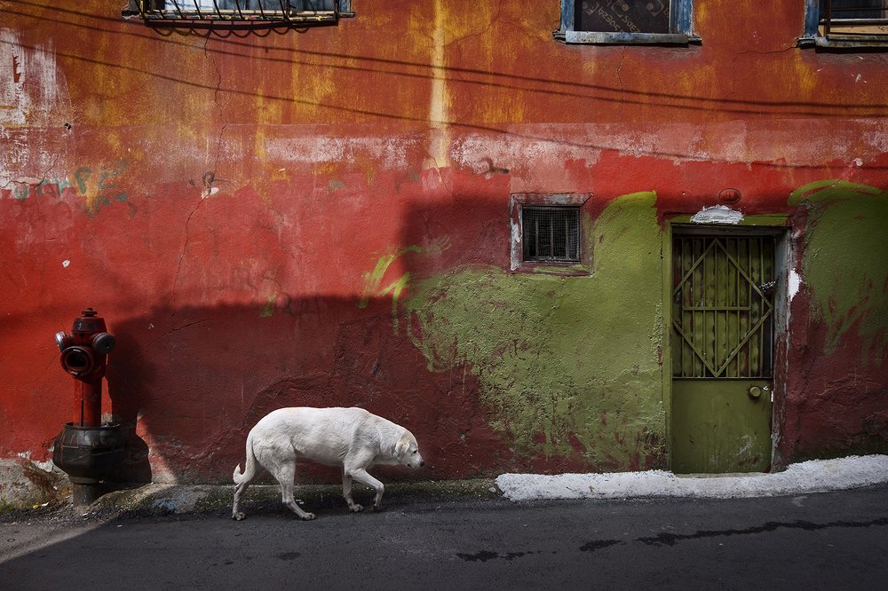 Photograph by ERDAL TURKOGLU