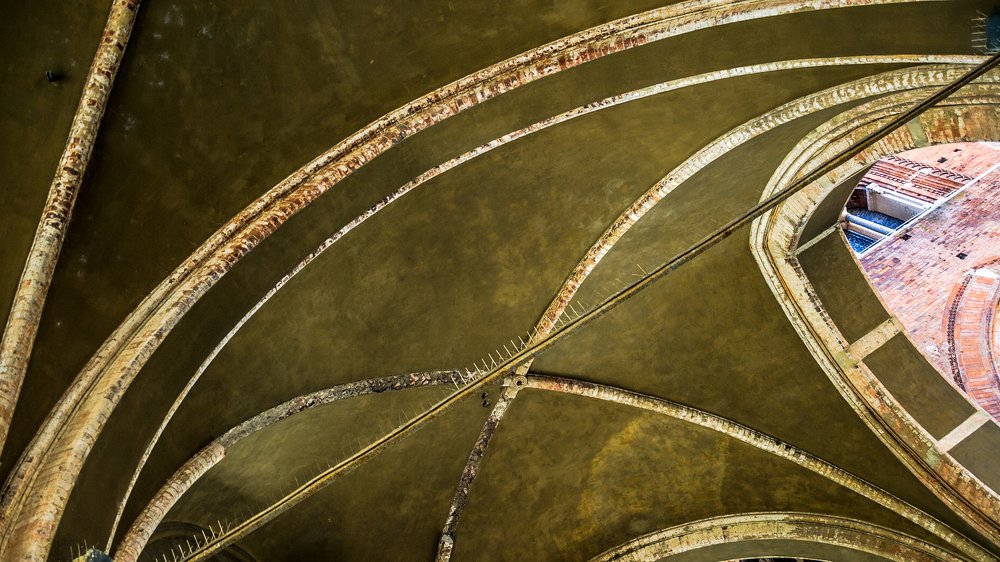 Photograph by Dumitru Bors