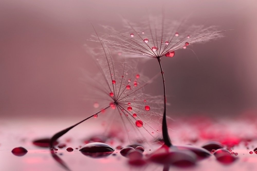 Разбитая любовь