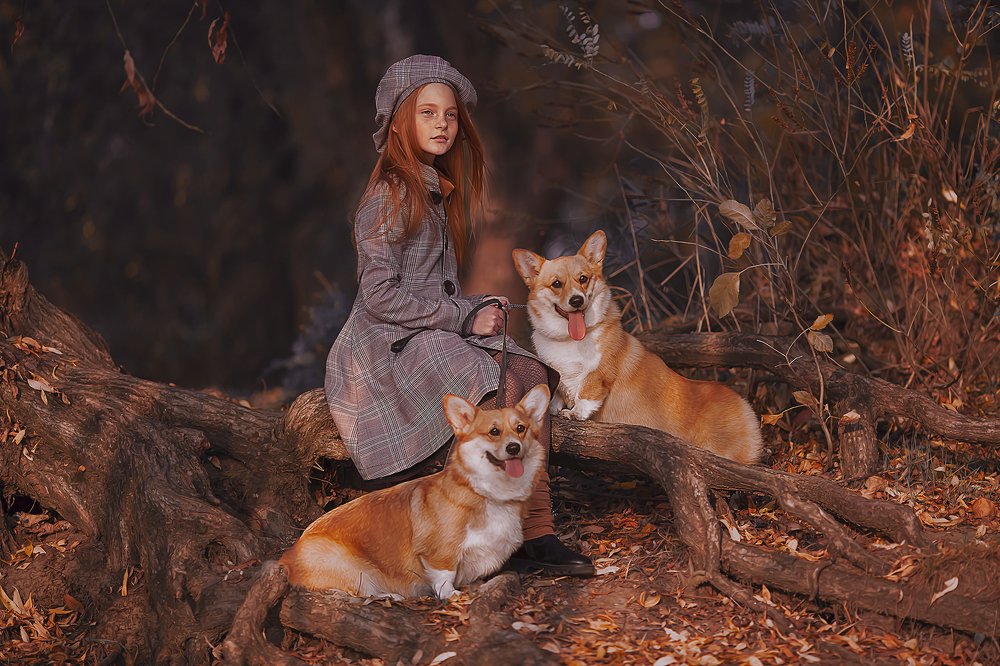 Трое в лодке