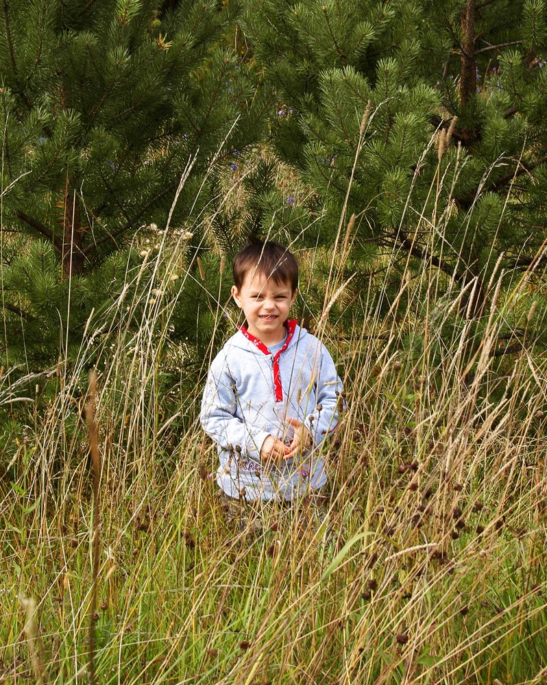 Гуляя по лесам и лугам