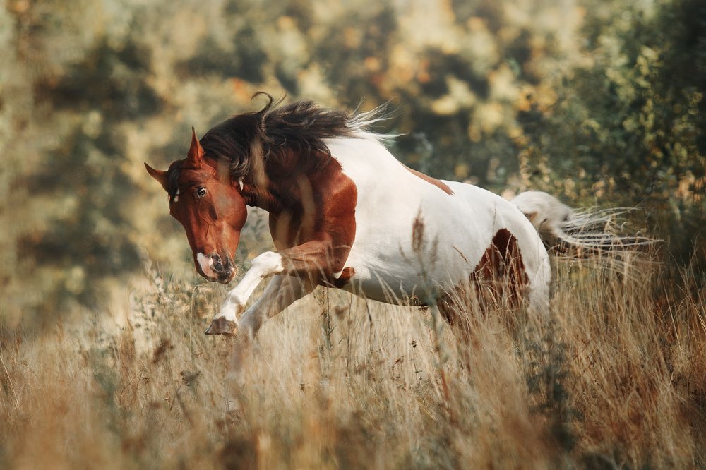 Photograph by Дарья Ералева