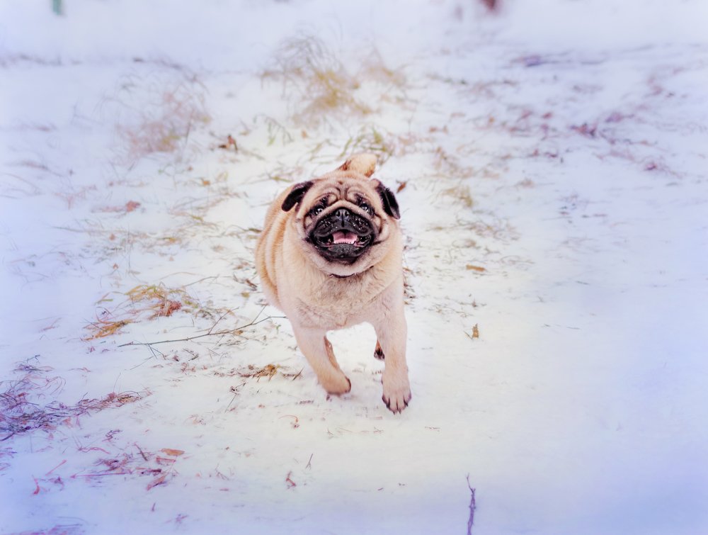 Photograph by Михеева Олеся