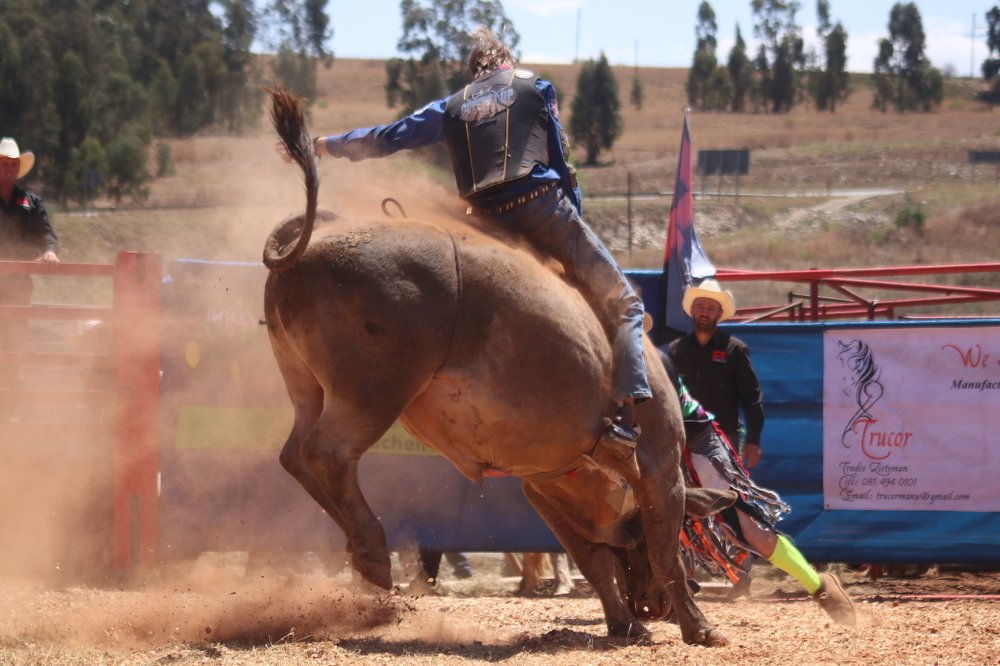 Photograph by Michelle Cloete