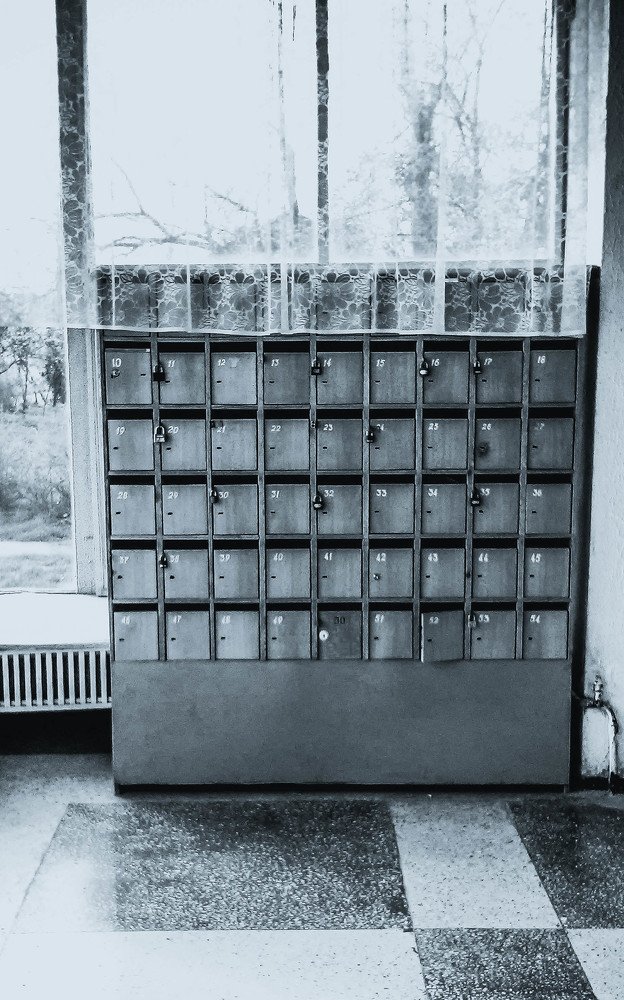 Фотография автора Алена Гамоля