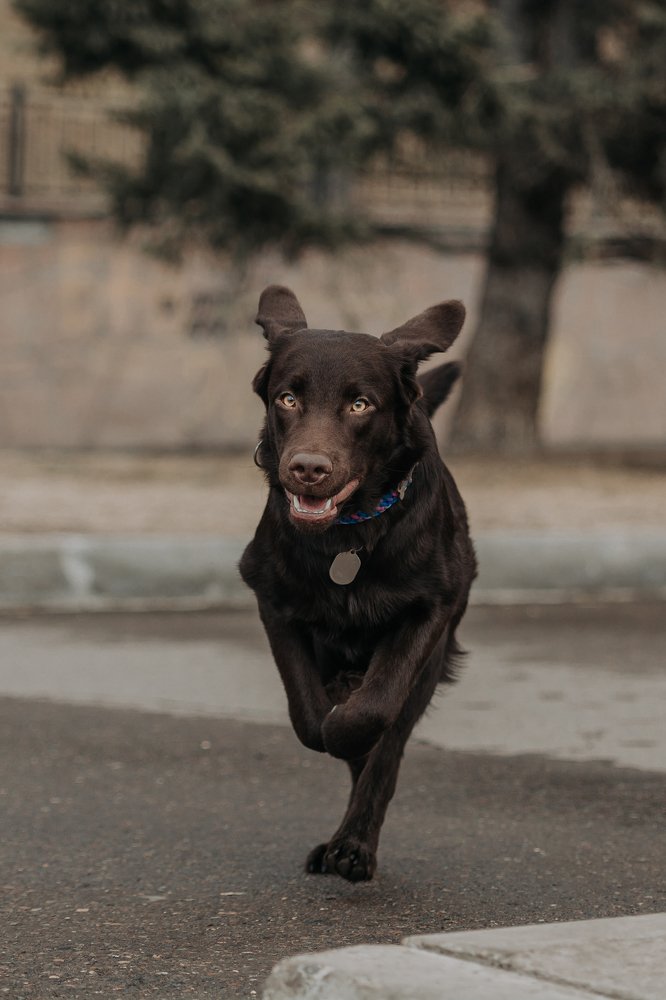 Photograph by Диана Оленина