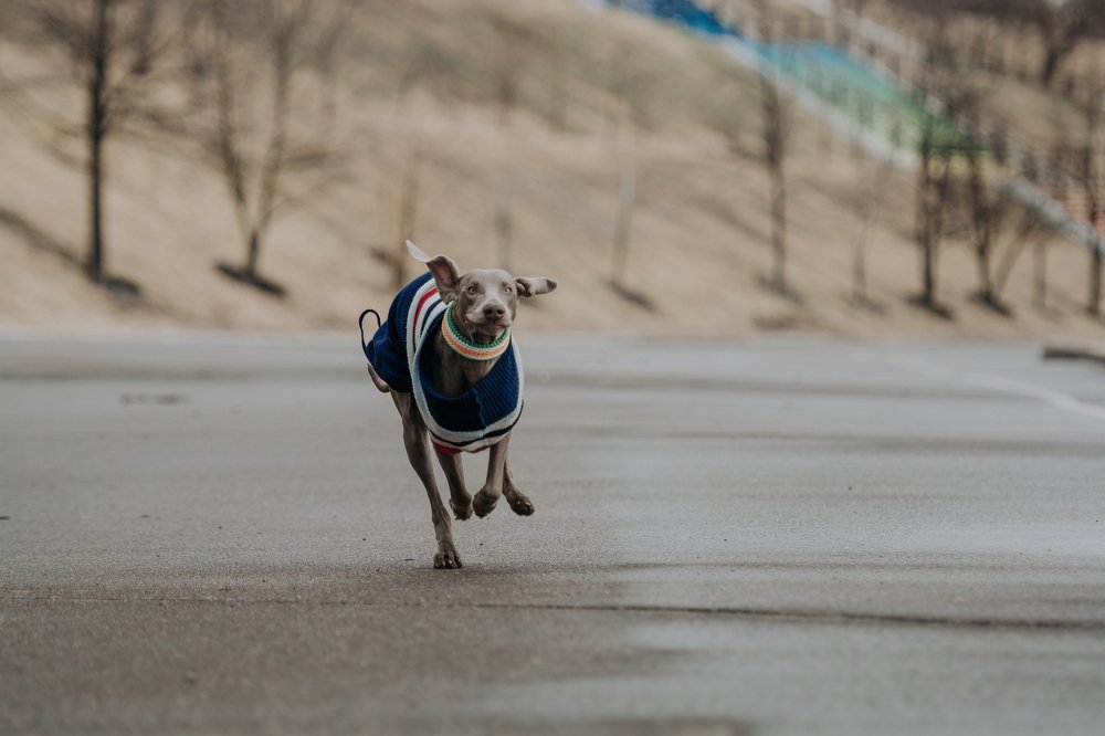 Photograph by Диана Оленина