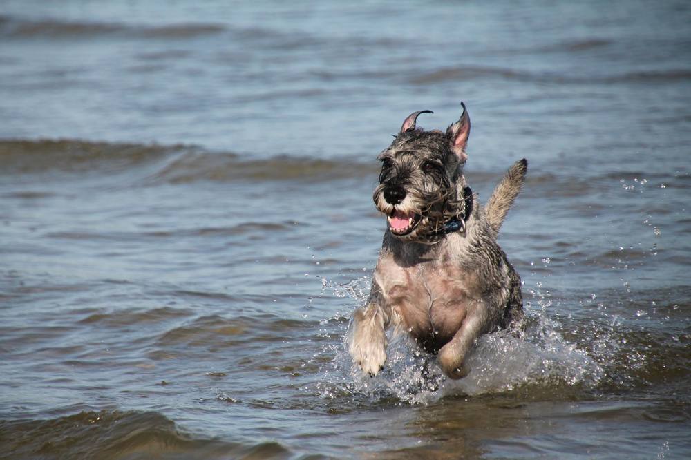 Photograph by Svetlana Puustovalova