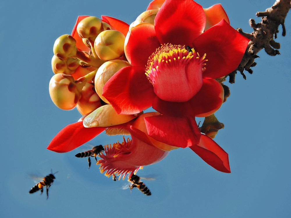 Фотография автора MINH GIẢNG PHẠM