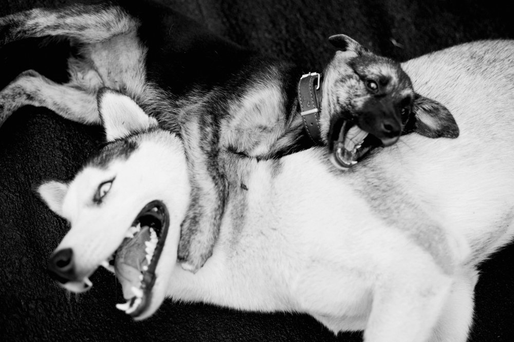 Photograph by Наталия Голованова