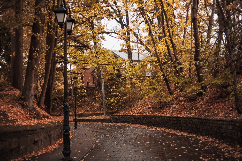 Photograph by Алёна Останкова