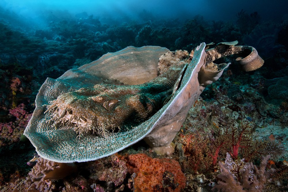 Photograph by Дериглазова Марина Владимировна