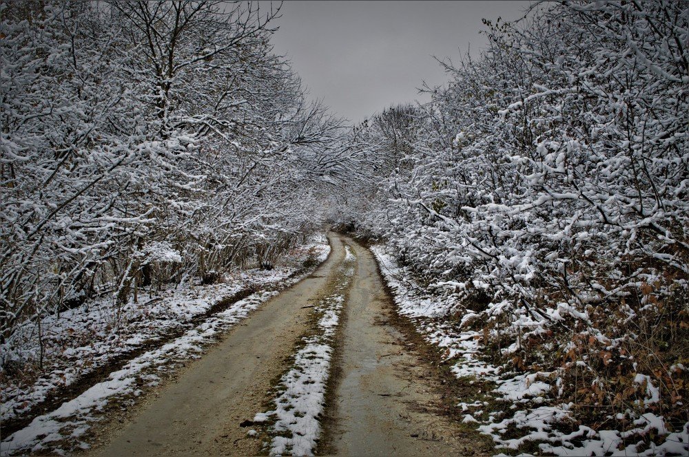 Photograph by Тимур Байкулов