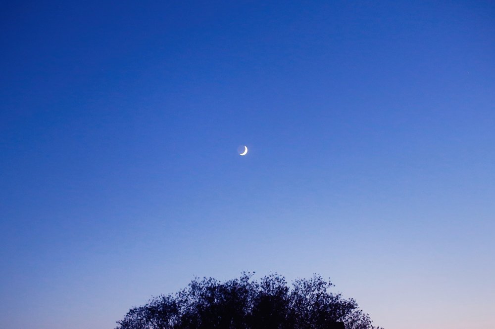 Photograph by Наталия Голованова