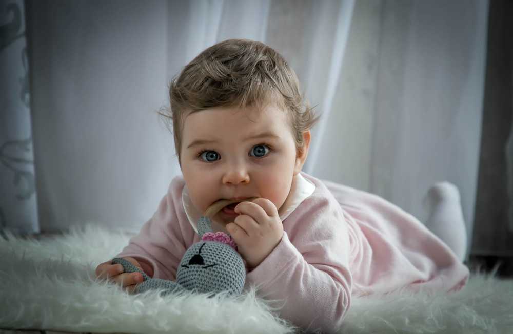 Photograph by Elena Gebert