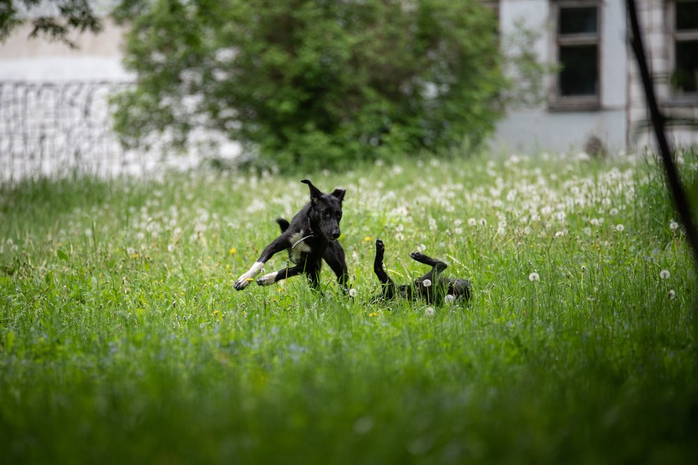Photograph by Aleksei Kurlov