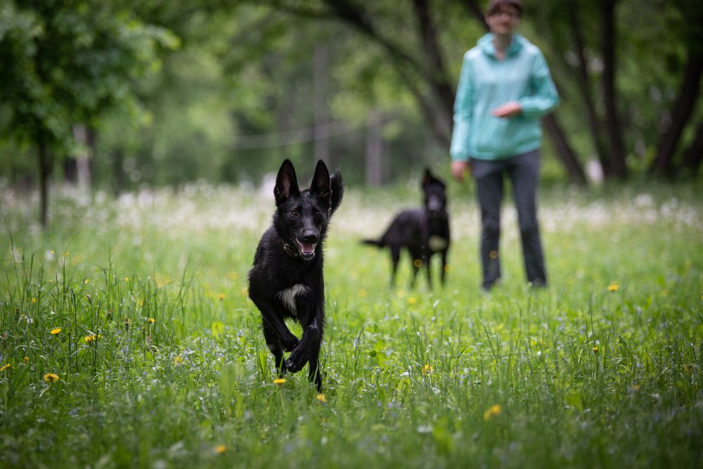 Photograph by Aleksei Kurlov