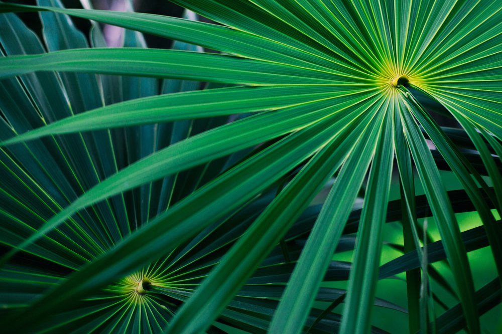 Photograph by Наталия Голованова