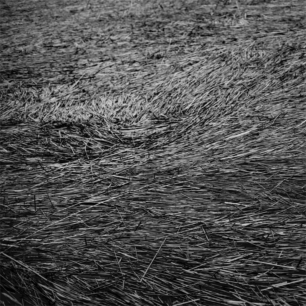 Photograph by Наталия Голованова