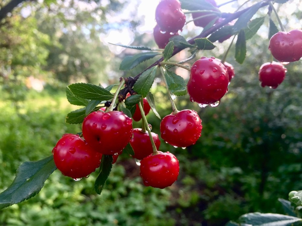 Photograph by Гаврилов Александр