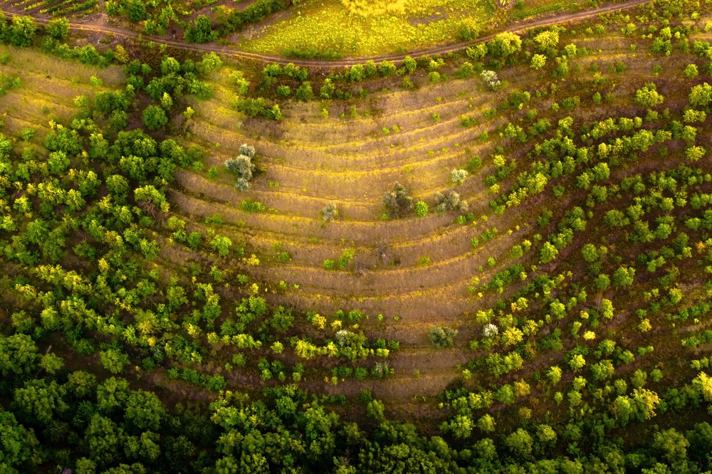 Овраг на рассвете с высоты птичьего полета