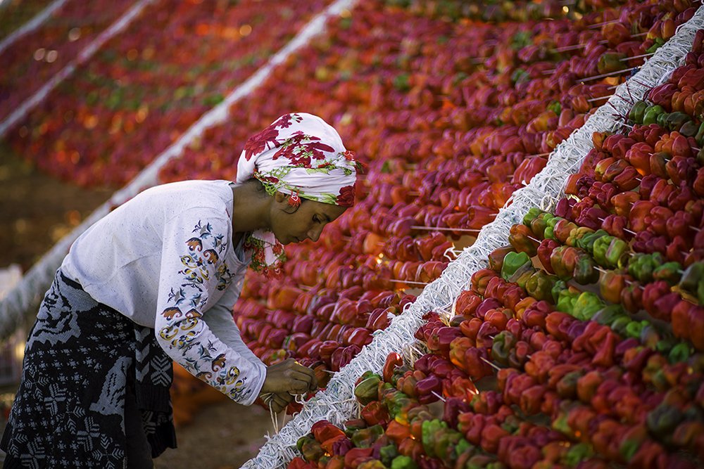Photograph by Galip Çetiner