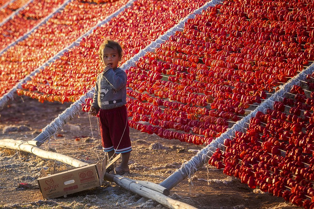 Photograph by Galip Çetiner