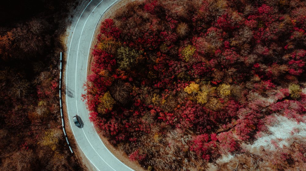 Photograph by Alexey Nikitin