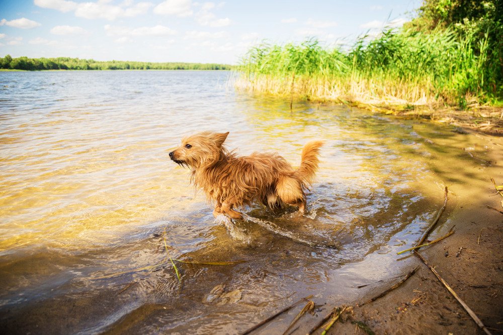 Фотография автора Юлия Виноградова