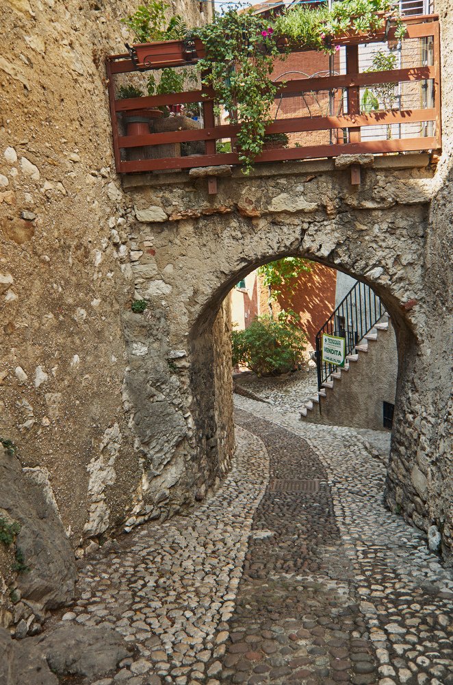 Photograph by Sergei Nehhožin